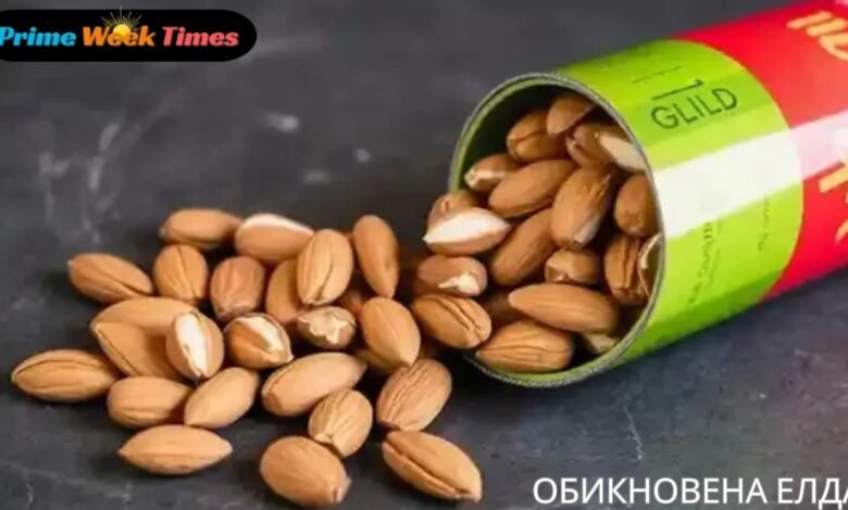 обикновена елда