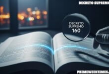 Decreto Supremo 160