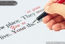 Disqus Spell Check Not Working Properly