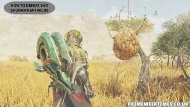 How To Defeat Sho Shunama MH Wilds