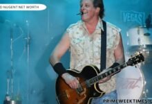 ted nugent net worth