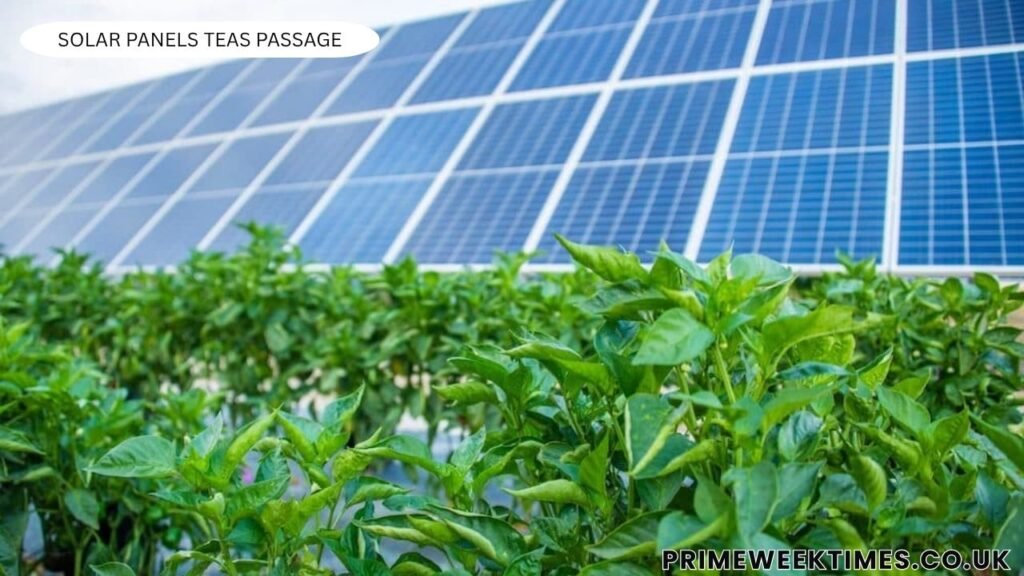 solar panels teas passage