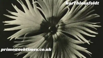 karl blossfeldt