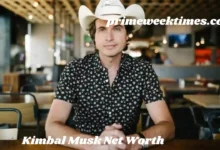 Kimbal Musk Net Worth