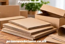 Pappedeckel