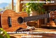 amahi am800g-c concert cutaway ukulele review