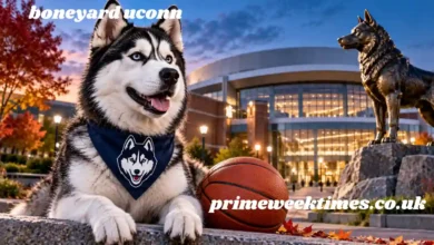 boneyard uconn