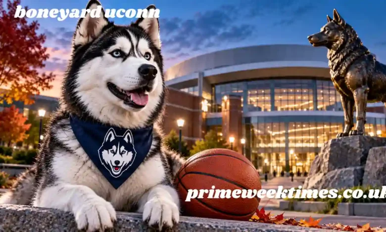 boneyard uconn