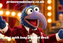 muppet with long hooked beak