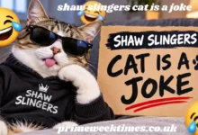 shaw slingers cat is a joke