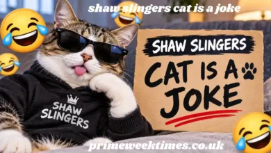 shaw slingers cat is a joke