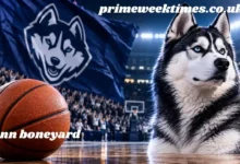 uconn boneyard