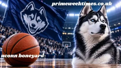 uconn boneyard