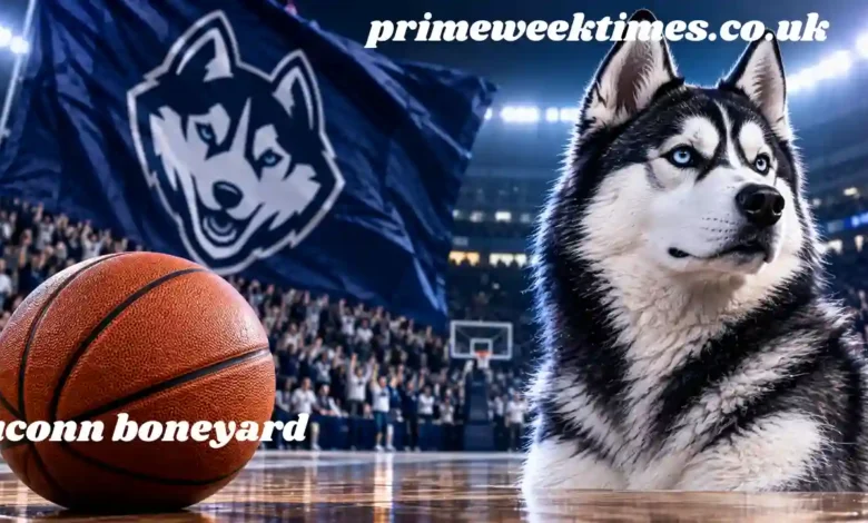 uconn boneyard