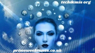 techdemis org