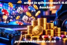 what is qilszoxpuz7.4.0.8 bankroll